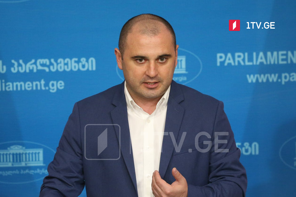Леван Хабеишвили заявил, что "ЕНД" отказывается от должностей председателей и заместителей комитетов
