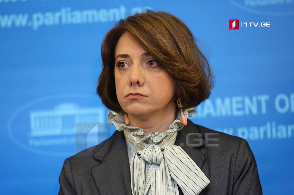 Salome Samadaşvili - əlavə baryerlərin yaradılması ki, siyasi əlamətlə deputatın immunitetinin dayandırıması baş verməsin, əhəmiyyətlidir