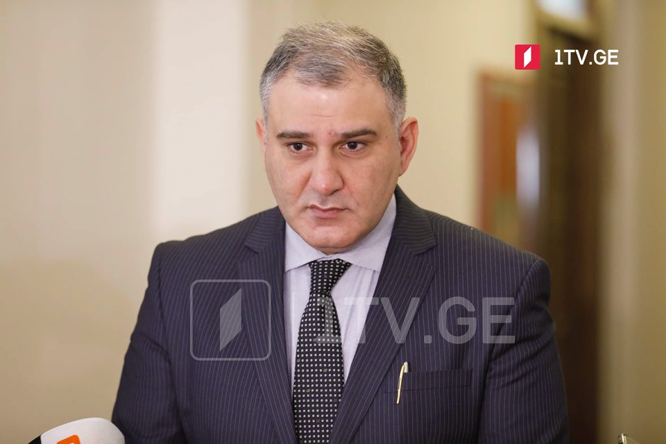 MP Sarjveladze sees no ground to stop Supreme Court judge nomination