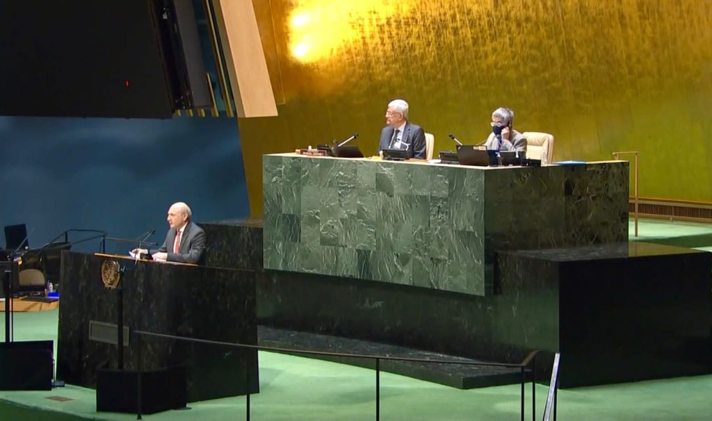 UN General Assembly adopts resolution on Abkhazia, Tskhinvali region IDP status