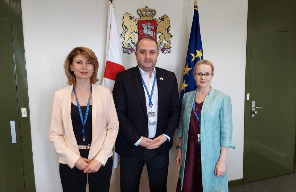 İrakli Çikovani və Tamar Taliaşvili Avropa Şurası Parlament Assambleyasında Estoniya nümayəndə heyətinin rəhəbri ilə görüşdülər