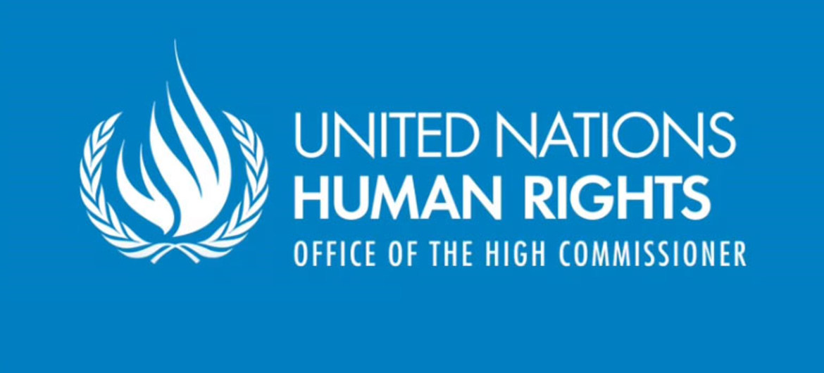 UN Human Rights Office condemns assaults on journalists, Tbilisi Pride organizers