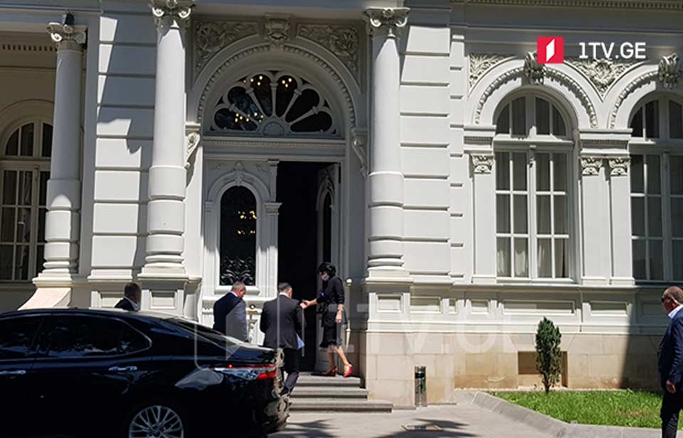 Вахтанг Гомелаури проводит встречу с президентом во дворце Орбелиани