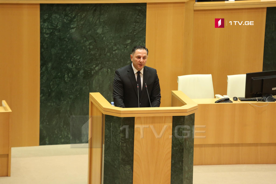 В парламенте Грузии заслушают министра внутренних дел Вахтанга Гомелаури