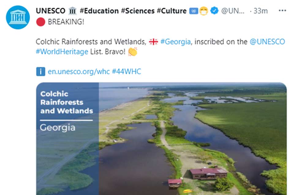 Georgian rainforests, wetlands inscribed on UNESCO World Heritage List