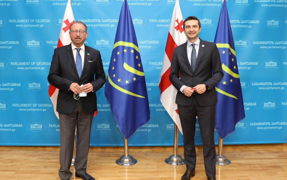 Parliament Speaker, PACE President hold meeting