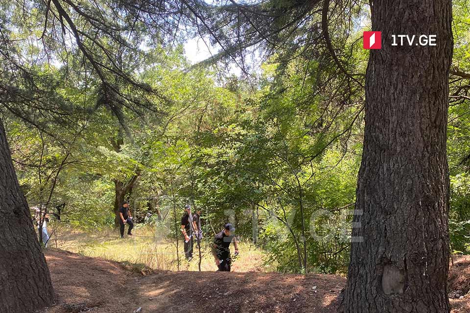 Спасатели нашли тело погибшей женщины на территории Тбилисского парка Мтацминда