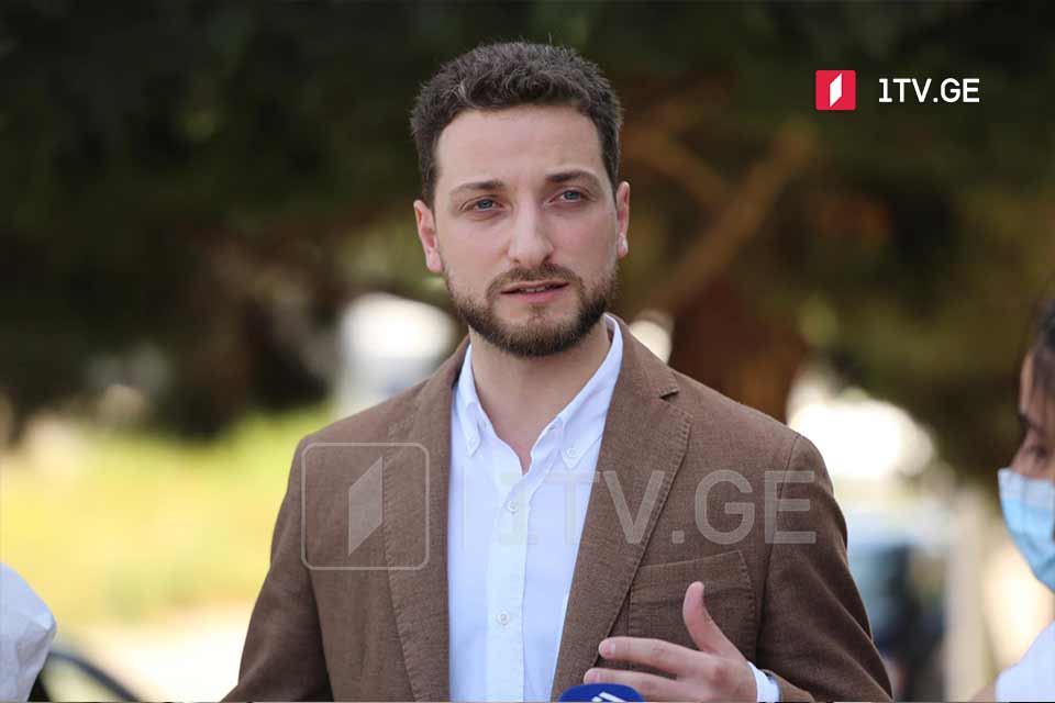 Объединенная грузинская оппозиция представит общих кандидатов в кратчайшие сроки