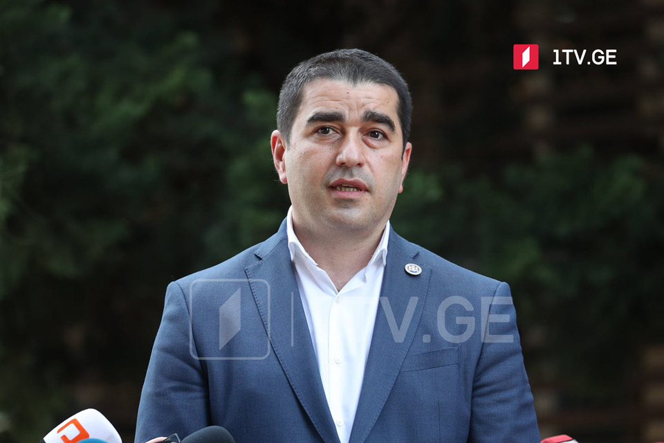 UNM's election campaign not genuine, MP Papuashvili says