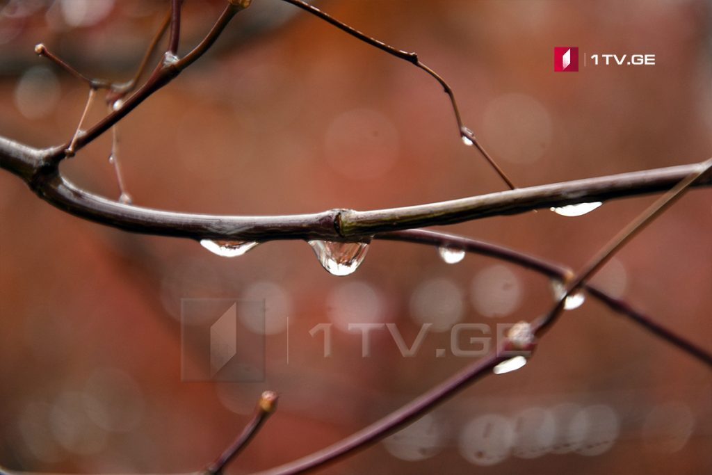 До 2 октября в Тбилиси и некоторых районах ожидается кратковременный дождь