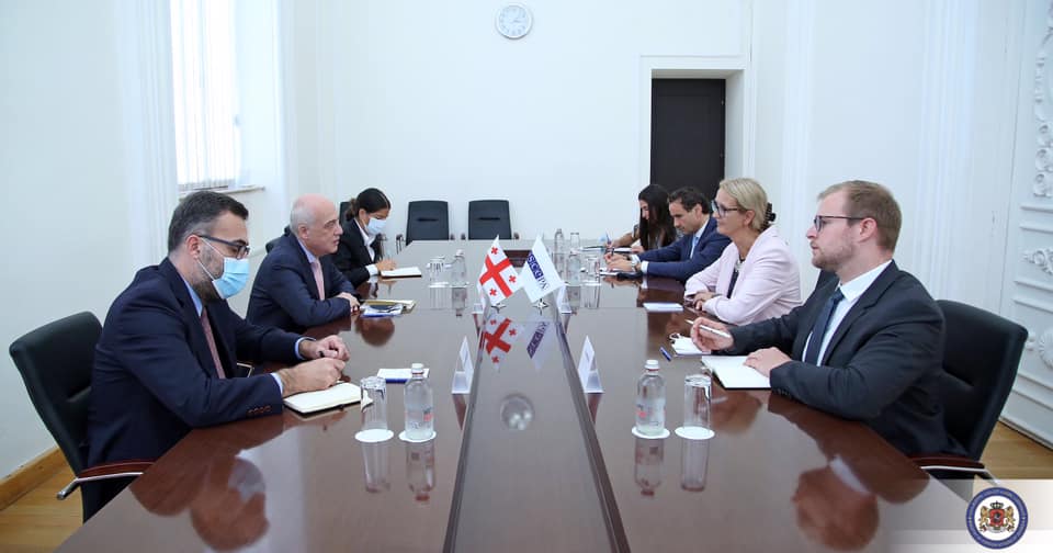 Давид Залкалиани встретился со спецпредставителем и генеральным секретарем ПА ОБСЕ