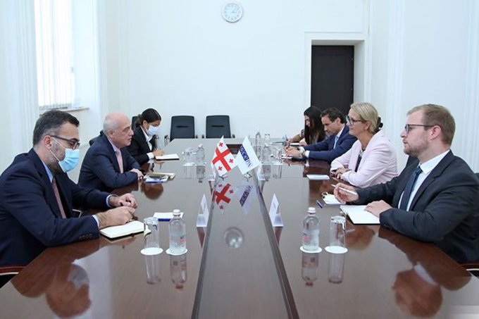Domestic, regional challenges in focus during OSCE PA visit to Georgia