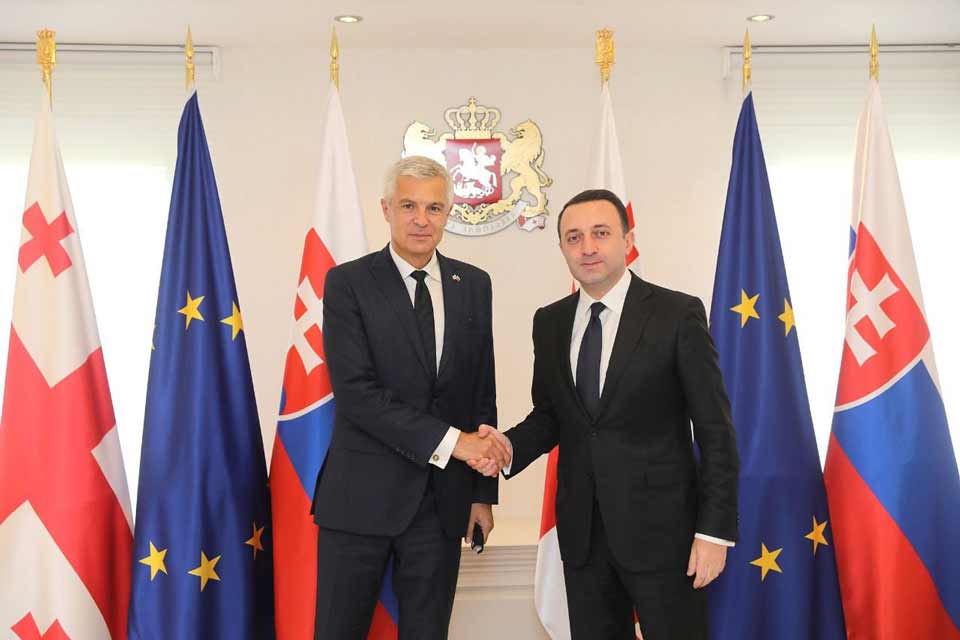 Georgian PM meets Slovak FM