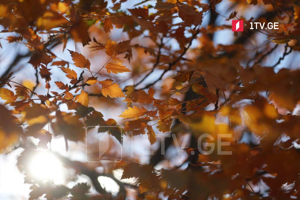 По прогнозам синоптиков, с 1 ноября в Грузии ожидается теплая погода, преимущественно без осадков