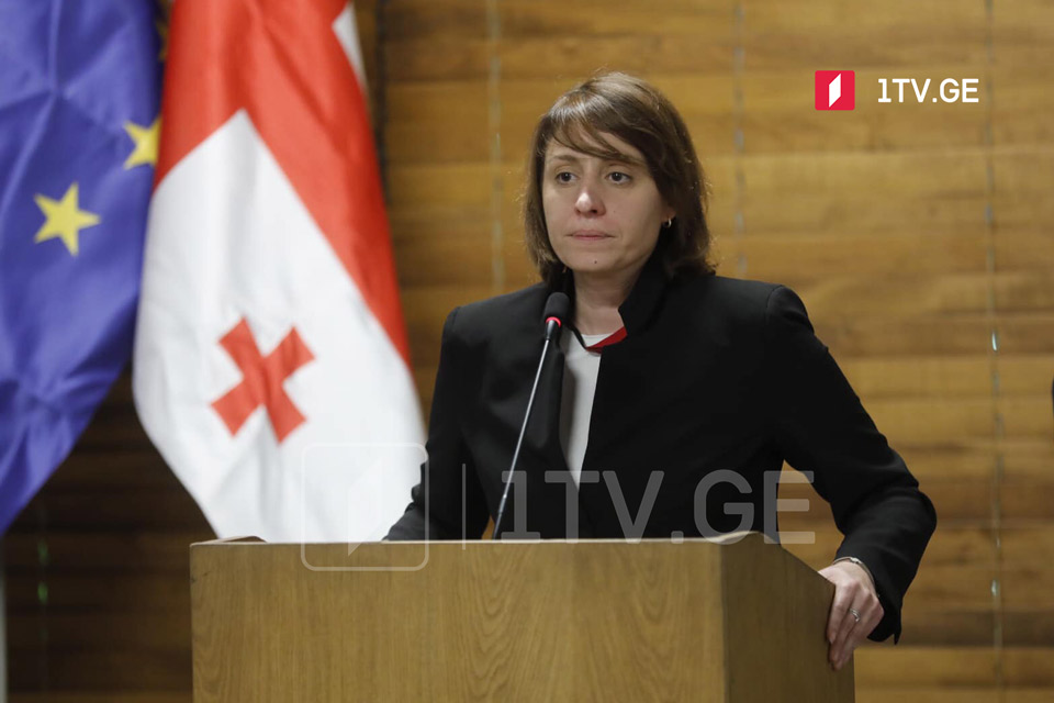 Елене Хоштария заявила о начале голодовки в здании парламента Грузии