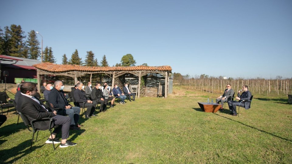 Acharada sitrus meyvələrinin yığımına hazırlaşırlar