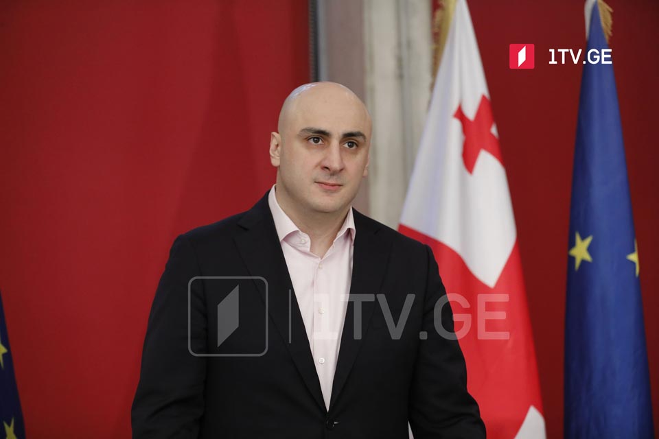 Ника Мелия заявил, что запланированы митинги с требованием отправить Михаила Саакашвили на лечение за границу