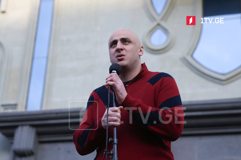 Ника Мелия - Пока Михаил Саакашвили не будет освобожден из незаконного заключения, мы не прекратим борьбу
