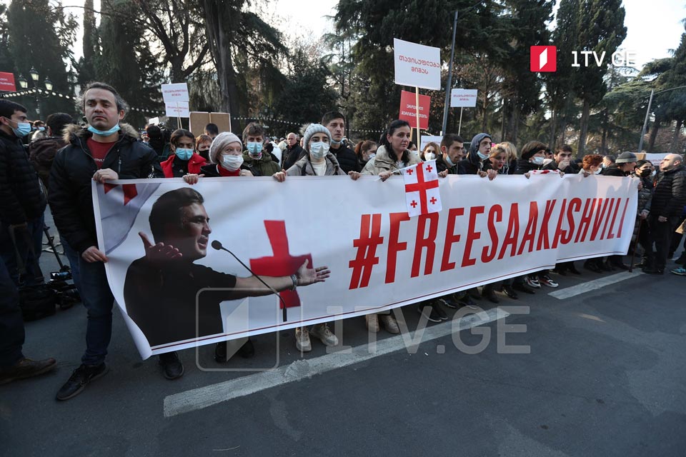 Партия "Единое национальное движение" провела акцию с требованием о помиловании Михаила Саакашвили