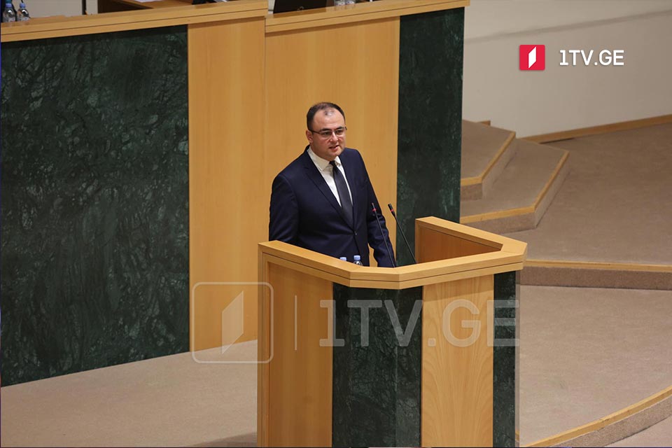Парламент заслушает Рати Брегадзе в формате «Часа министра»