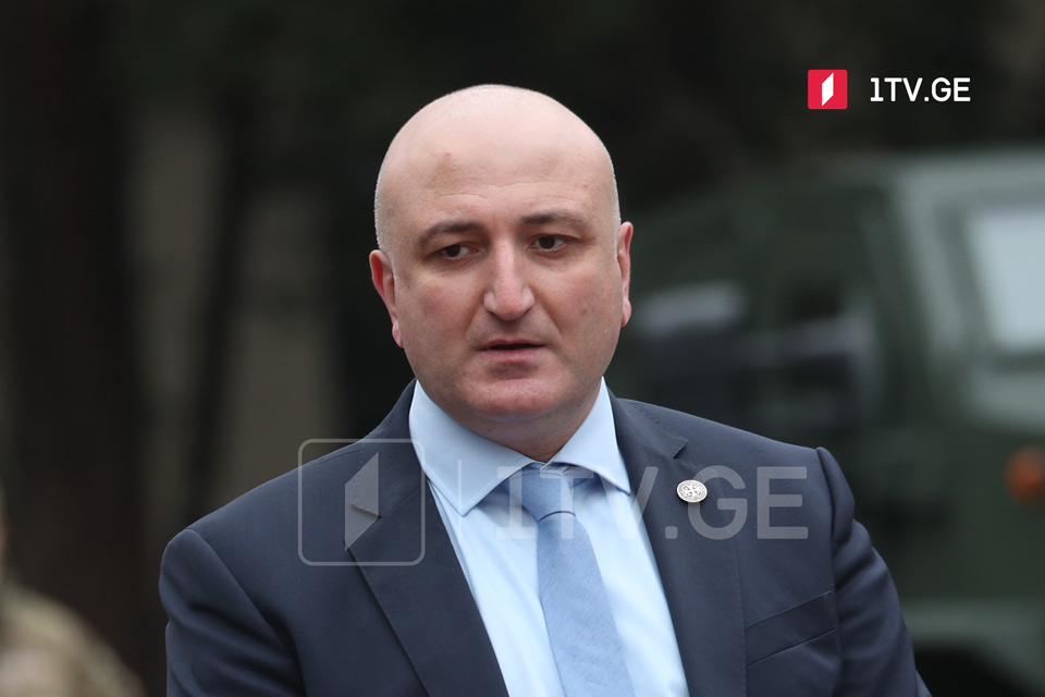 Зураб Азарашвили заявил, что дети, пострадавшие в результате трагического происшествия в парке Ваке, в скором времени могут покинуть клиники