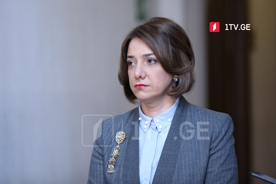 Opposition MP to demand early elections if Georgia fails to receive EU candidacy status