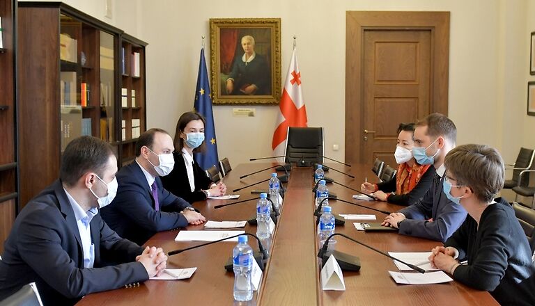 Анри Оханашвили встретился с представителями ЕС
