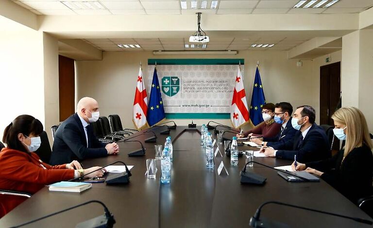 Зураб Азарашвили встретился с главой грузинского представительства Всемирной организации здравоохранения