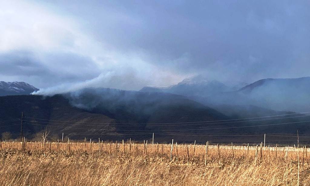 Fire in Shilda village forest