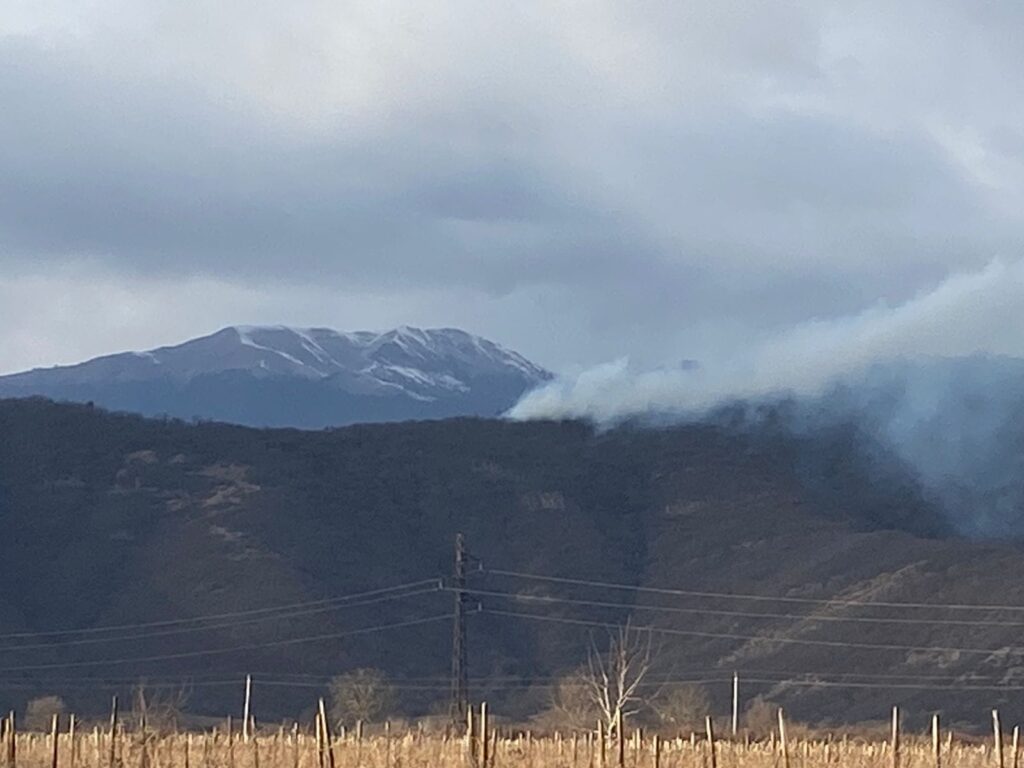 Ղվարելիի մունիցիպալիտետի Շիլդա գյուղի անտառում հրդեհը տեղայնացված է