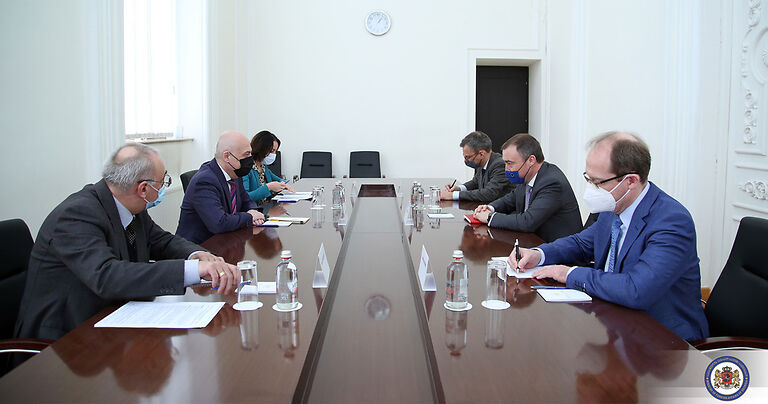 Georgian FM meets EU Special Representative