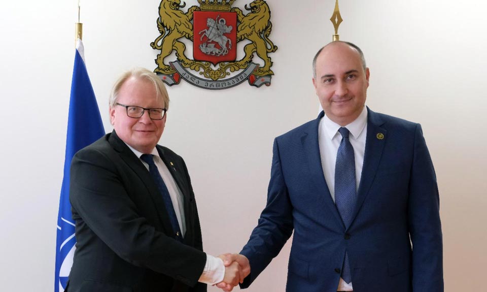 Джуаншер Бурчуладзе встретился с министром обороны Швеции
