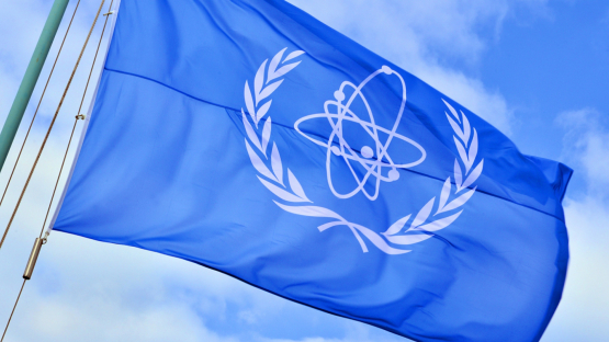 В Международном агентстве по атомной энергии заявили, что ситуация с безопасностью Чернобыльской АЭС осложнена