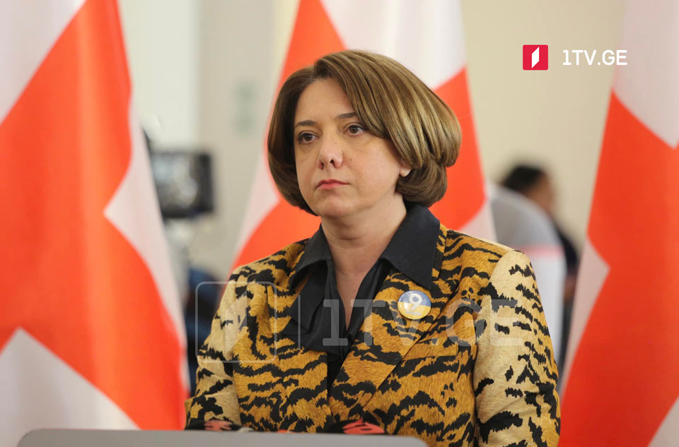 Саломе Самадашвили - Все депутаты, которые намерены проголосовать за законопроект «Силы народа», будут действовать против Конституции Грузии