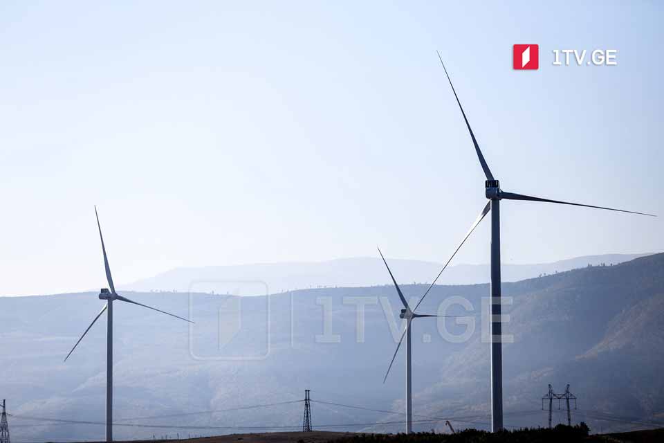 Government discusses wind, solar power plants development project