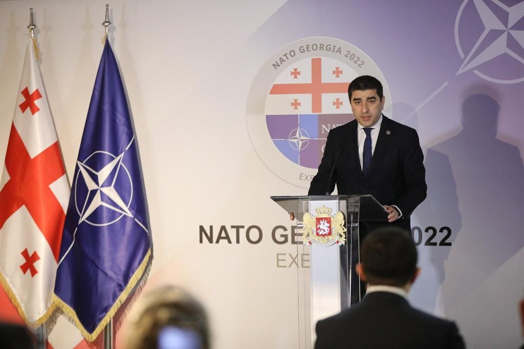 Georgia has repeatedly proven that it is NATO’s reliable and experienced partner, Parliament Speaker states
