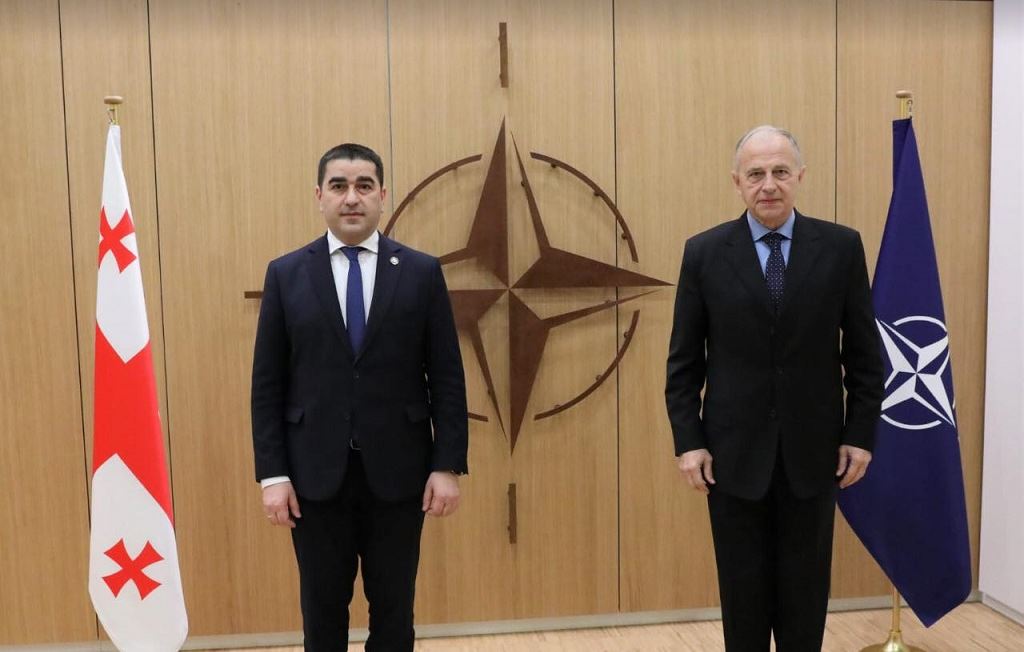Шалва Папуашвили встретился с заместителем генерального секретаря НАТО