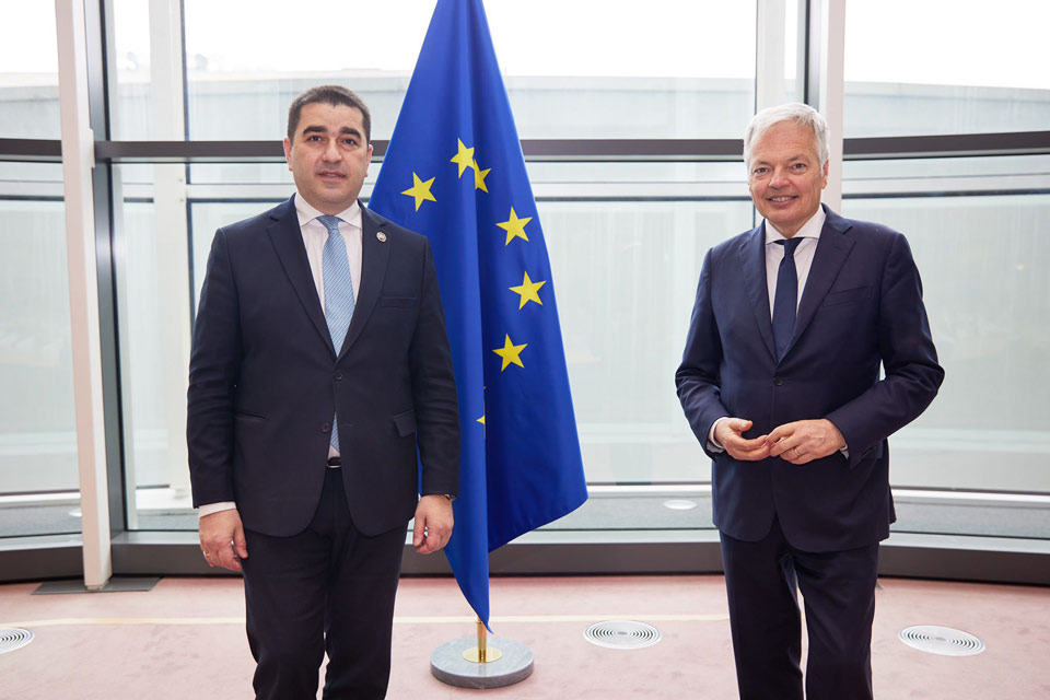 Еврокомиссар Дидье Рейндерс прокомментировал встречу с Шалвой Папуашвили в Брюсселе