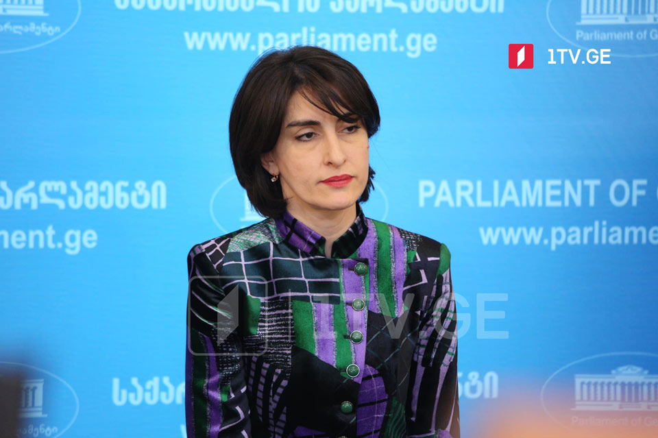 MP Botchorishvili states opposition harming Georgia's strategic interests doomed to failure