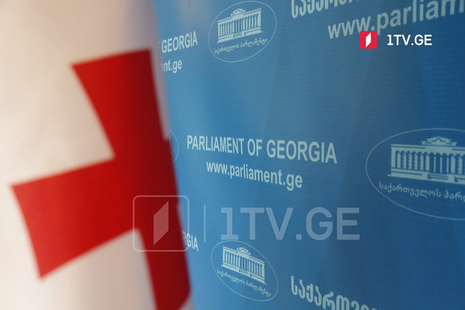 Georgian MPs fail to define delegates for Ukraine visit