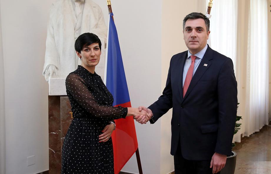 Georgian FM meets Czech Speaker of Chamber of Deputies