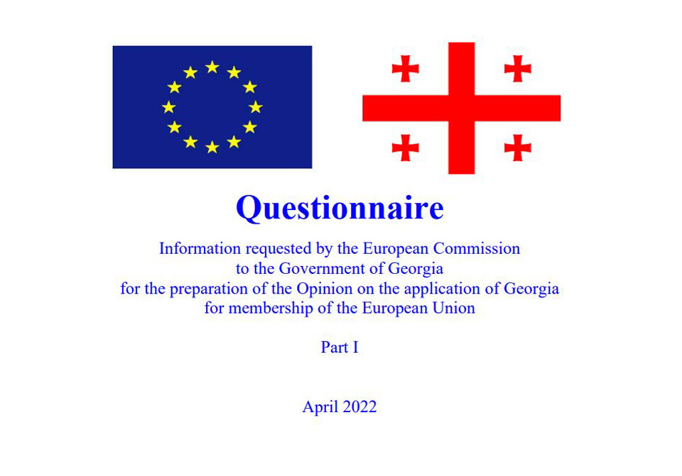 Правительство Грузии опубликовало анкету Еврокомиссии