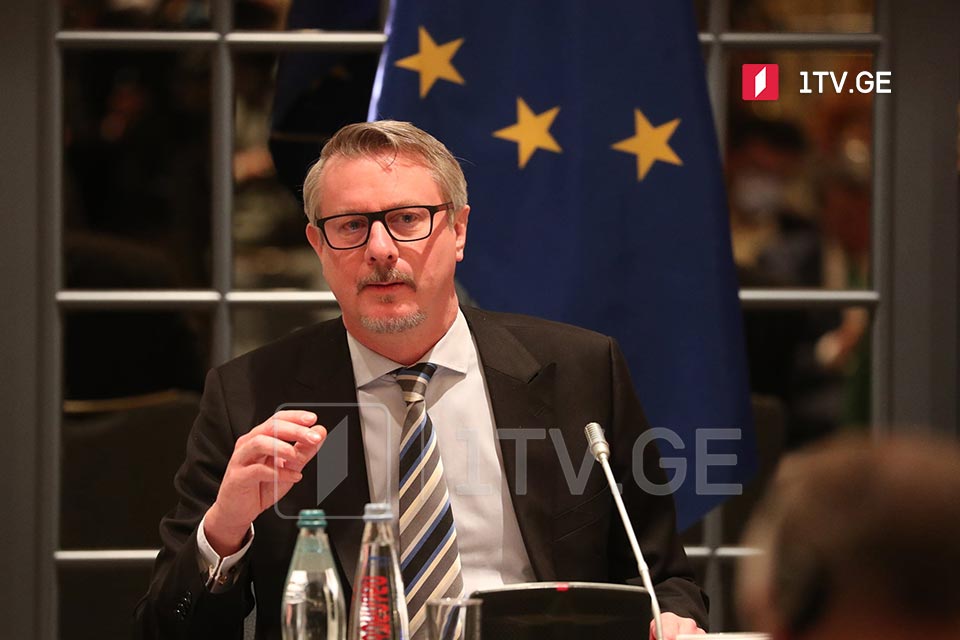 EU Ambassador, art representatives, discuss EU membership application