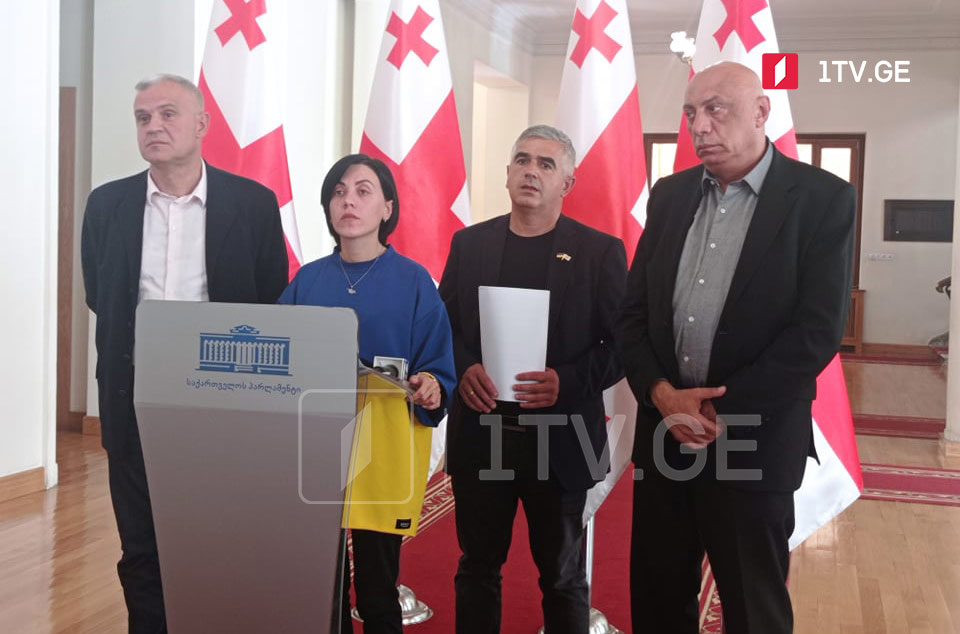 "Национальное движение" представило две законодательные инициативы, касающиеся граждан Грузии, воюющих в Украине