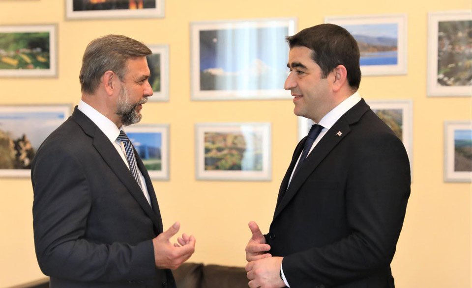 Шалва Папуашвили встретился с послом Чехии