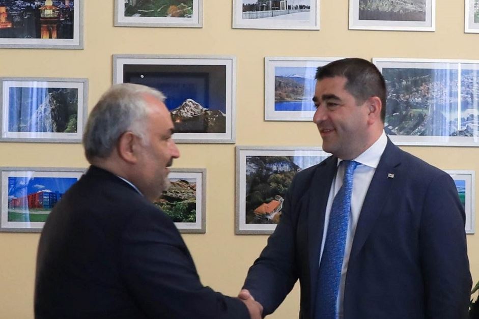Шалва Папуашвили встретился с членами группы дружбы с Грузией в парламенте Турции