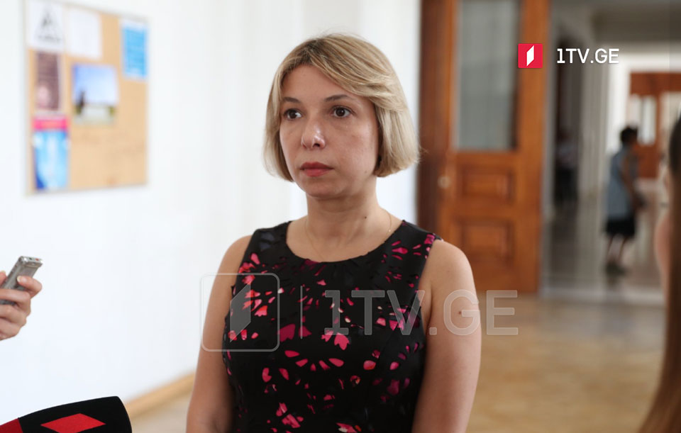 Нино Ломджария - Саломе Зурабишвили справедливо раскритиковала власть, но у меня есть вопросы и к президенту, она тоже могла действовать