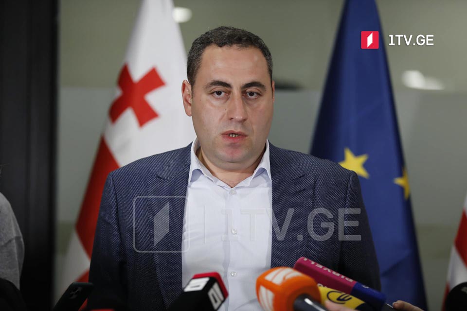 Георгий Вашадзе - 24 июня оппозиция представит план спасения Грузии