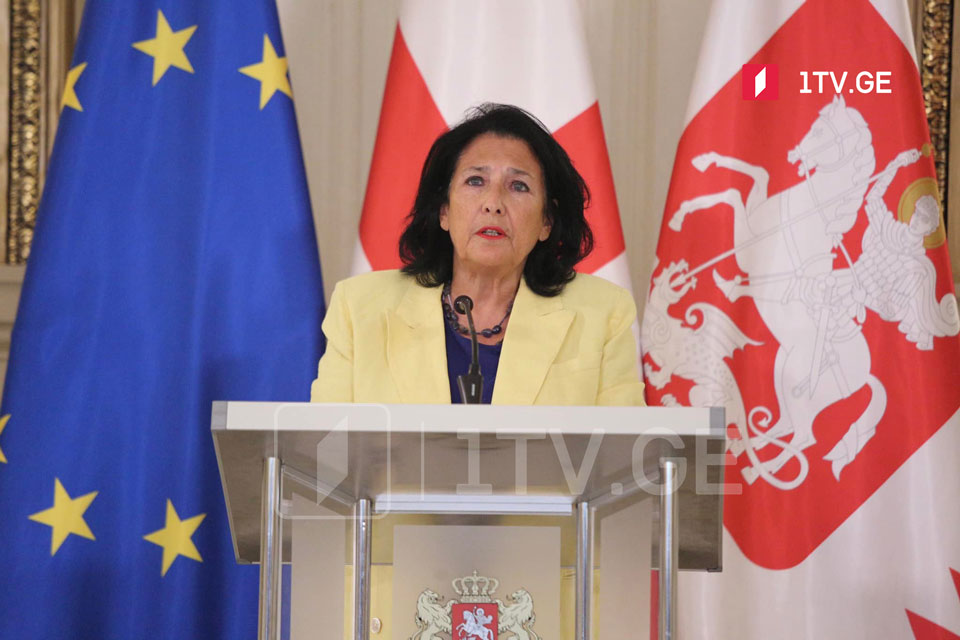 Президент Грузии планирует созвать внеочередные заседания парламента с 18 июля
