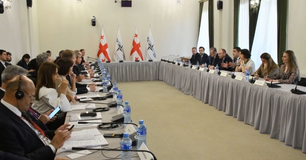 Шалва Папуашвили встретился с членами Комитета по обороне и безопасности Парламентской ассамблеи НАТО